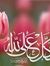 Abdo Ha...