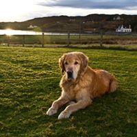 Katherine Macfarlane