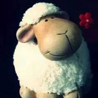 Ḿặrwặ Așƕøǔr