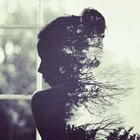 Alaa I.