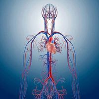 علم الأحياء