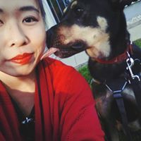 Dandan Chiu