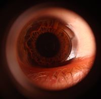 Станислав Попов