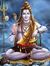 Ravi Sh...