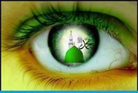 أمينة السيد