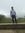 Sagar C...
