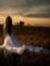 Ghada E...