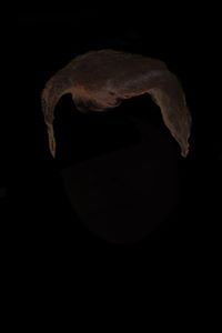 Ђорђе Шукало