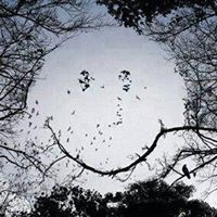 عبدالرحمن محمد السيد