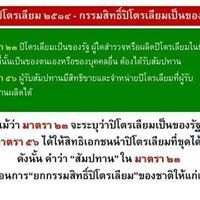 ชลดา ลาเฟื้อย