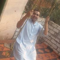 محمود الشافعى