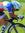 Trekbmc
