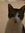 Kit