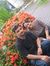 Gayathr...