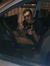 Yehia S...