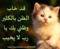 محمد العتربي