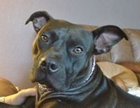 Angela Bsl