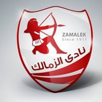 Waleed Elgamal