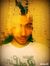 Mostafa...