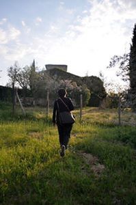 Sirius Lee cher hern