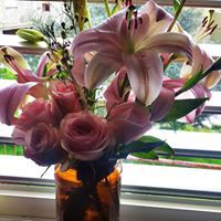 אריג זערורה