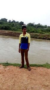Mohammed Arif