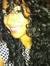 Mary Singh