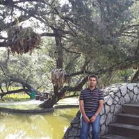 Ahmed Wheed
