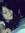 Aletheia
