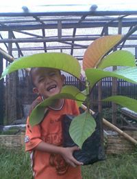 Mahmoed Hidayat