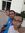 Ahmed A...