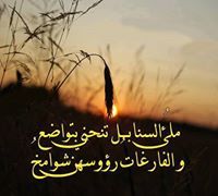 Alaa Jaber