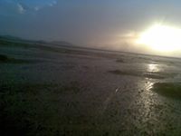 الوهيداني شداد