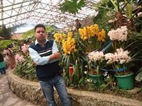 Sandeep Gogoi