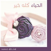 راوية مصطفى