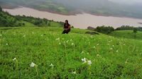 Dwipannita Roy