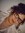 Alleytha Klinger | 2 comments