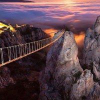 زهرة الرمان