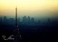 ارجوان محمد