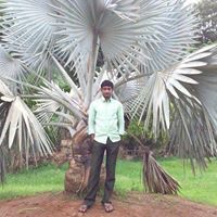 భార్గవ్ కుమార్