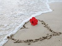 محمد الامين