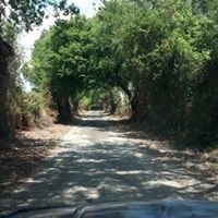 Robertandmarta Smith