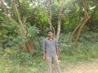Gopi Krish