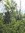Baotran | 2 comments