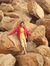 Abhishe...