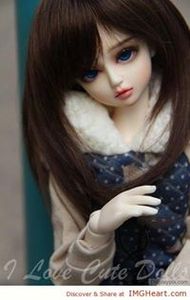 Shafia Farooq shaikh