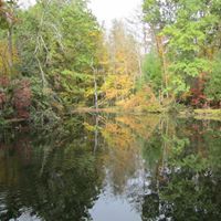 Deb Borkowski Scott Mautz