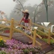 Linh Linh