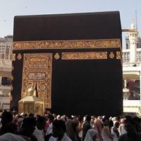 محمد الفوطي