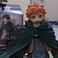 カンランシャ にゃんこすけ